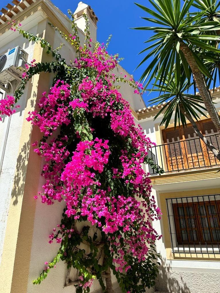 Casa Veratense Vera Playa Playas de Vera Экстерьер фото