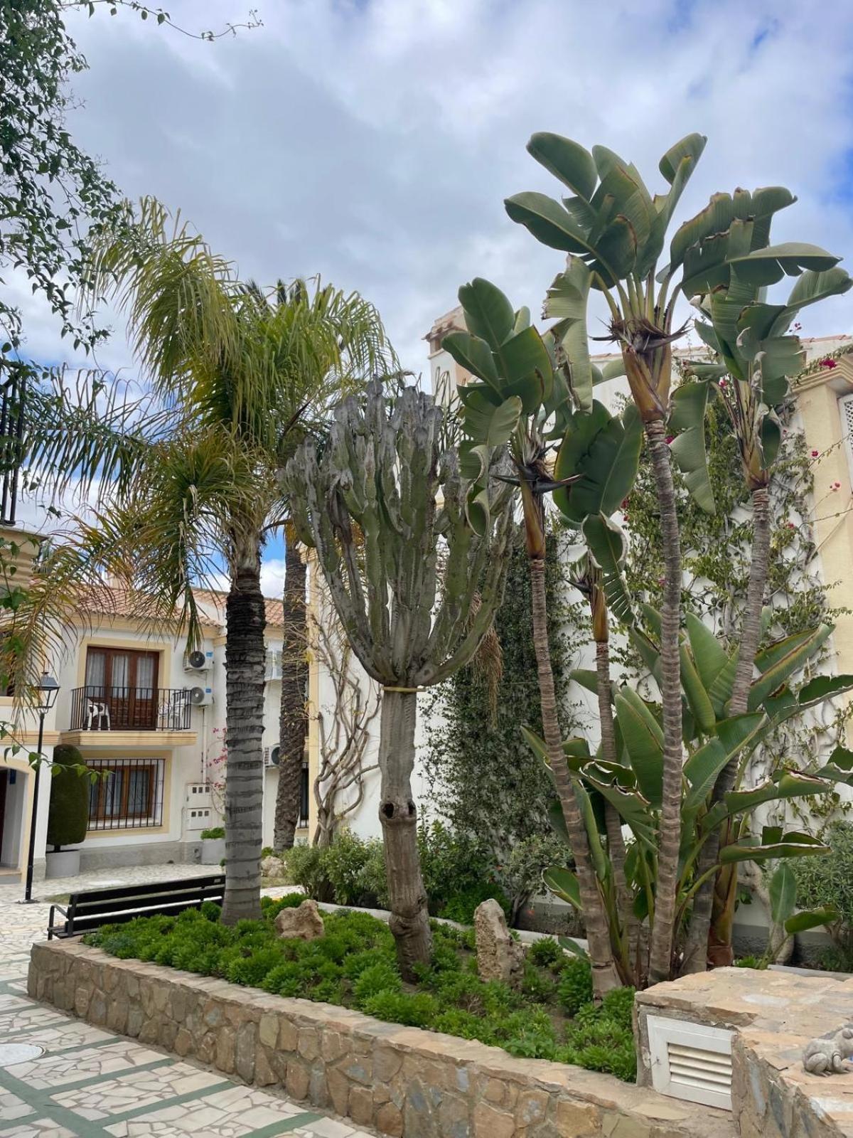 Casa Veratense Vera Playa Playas de Vera Экстерьер фото
