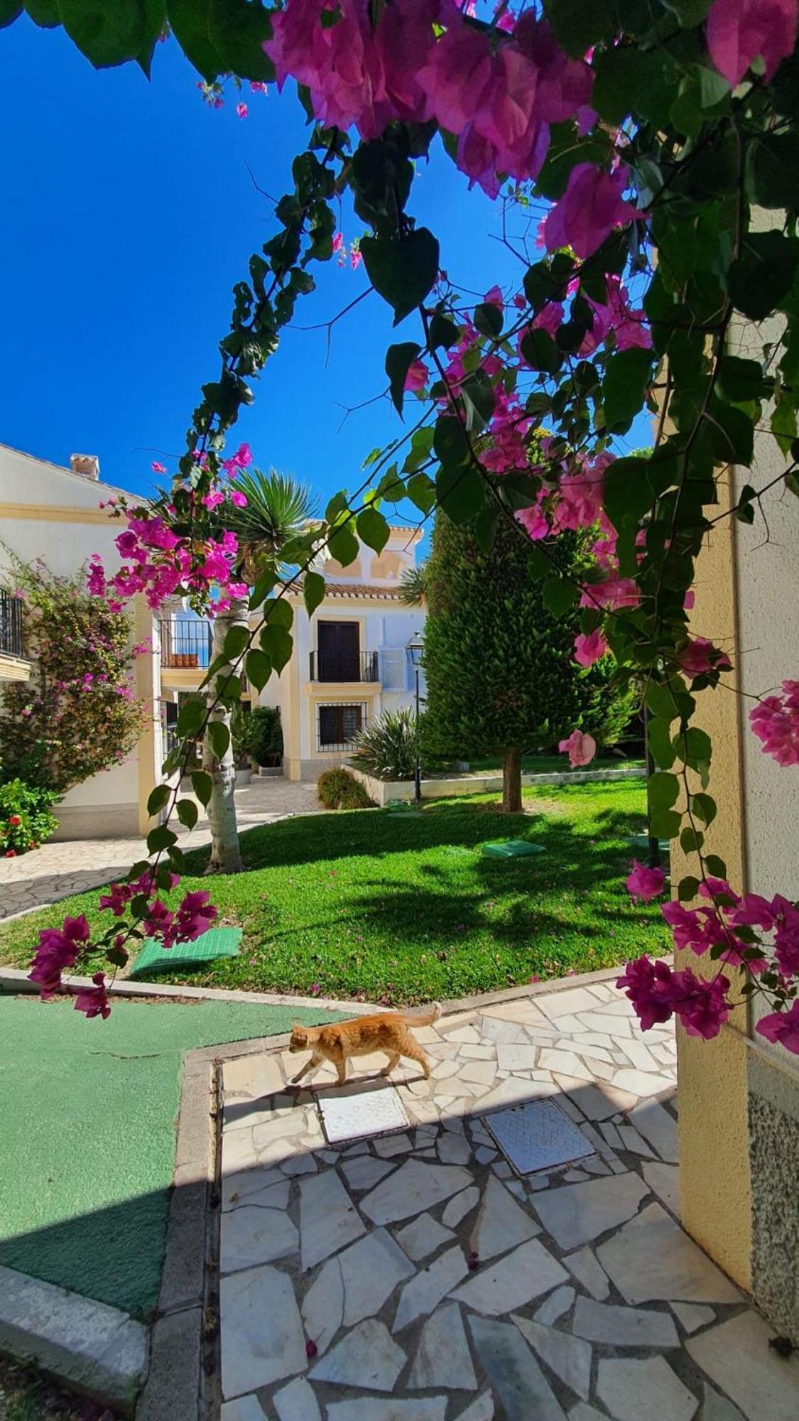 Casa Veratense Vera Playa Playas de Vera Экстерьер фото